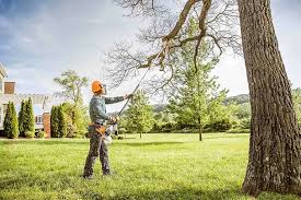 How Our Tree Care Process Works  in  Mullens, WV